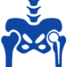 Hip Replacement